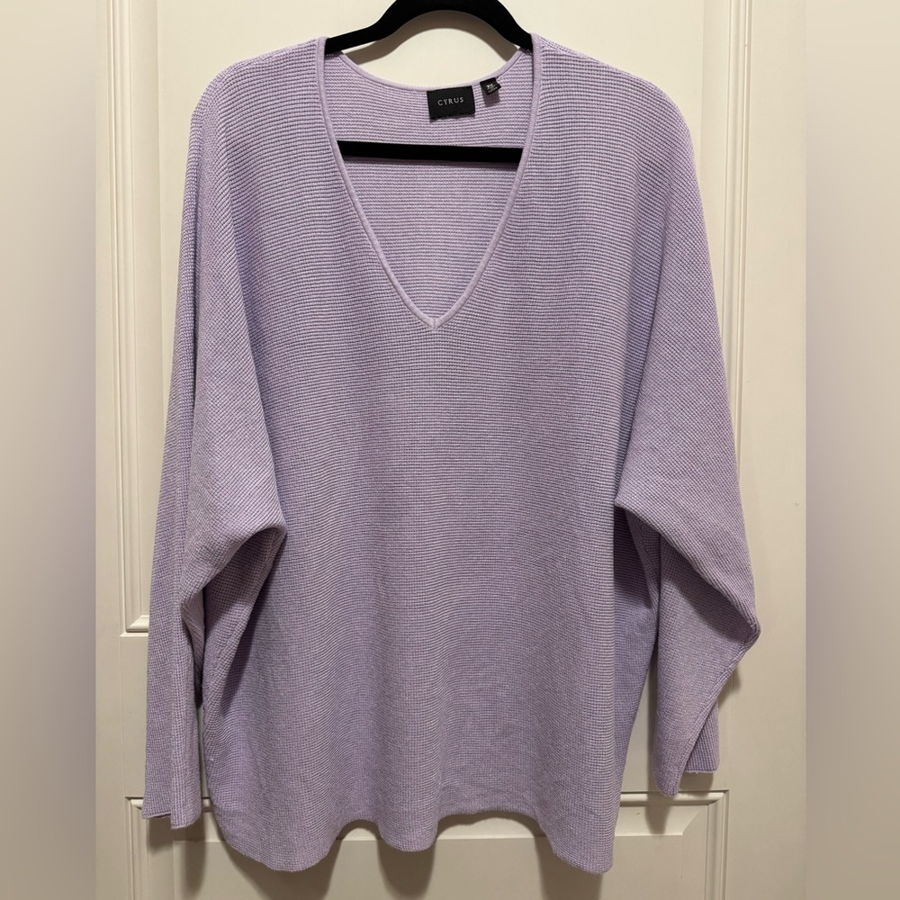 Cyrus Lavender V-Neck Women's Sweater